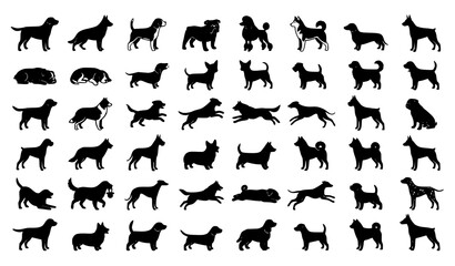 Fototapeta premium Dog Breed Silhouette Icon Set with Various Puppy and Canine Shapes for Pet Shop, Veterinary, and Animal Design