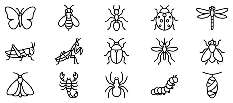 Insect icons set. Entomology and bug species concept. Includes butterfly, bee, ant, ladybug, dragonfly, grasshopper, mantis, beetle, mosquito, fly, moth, scorpion, spider, caterpillar,