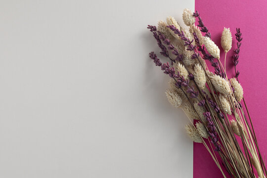 Dried lavender and phalaris bouquet creating modern rustic decor on color background