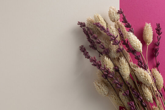 Dried lavender and pampas grass bouquet against beige and pink background