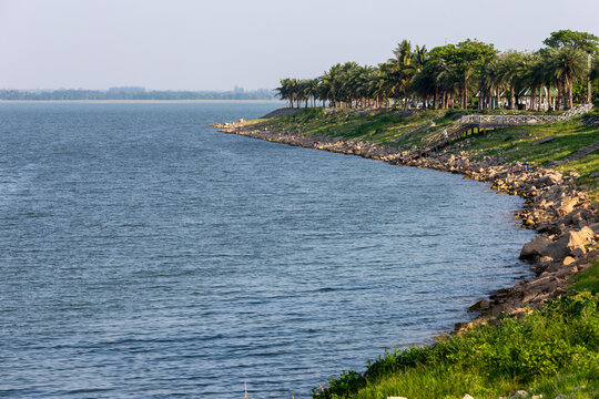 Wide landscape view of a curved reservoir shoreline with palm trees and stone riprap along calm water