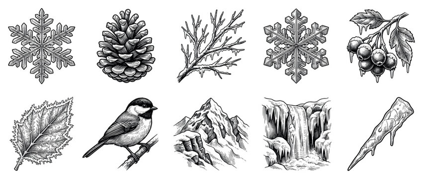 Winter nature icons set. Cold weather and seasonal elements concept. Includes snowflake, pine cone, icy branch, frozen berries, leaf, bird, mountain, waterfall, icicle. Hand-drawn engraving