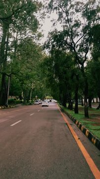 Beautiful Hill Road Drive in Islamabad with Tall Trees and Natural Scenery