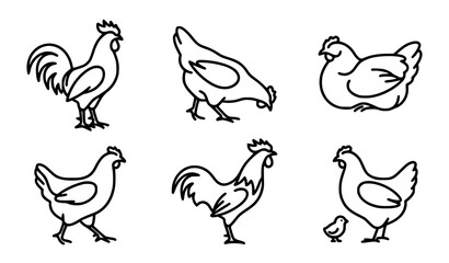 Obraz premium Hand Drawn Rooster Hen and Chicken Outline Farm Bird Illustration Collection for Agriculture Design Projects