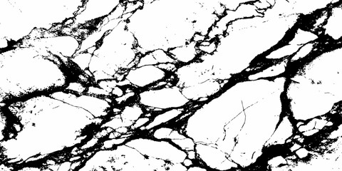 Fototapeta premium Abstract Black Marble Texture with Fine White Natural Veins for Luxury Background and Premium Branding