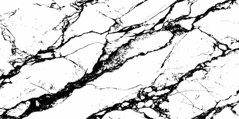 Fototapeta premium Abstract Black Marble Texture with Bold Natural White Veins for Luxury Background and Premium Surface