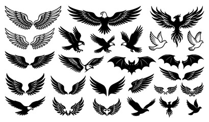 Set of different vector wings isolated on white background with feather and silhouette wing icons © Liton