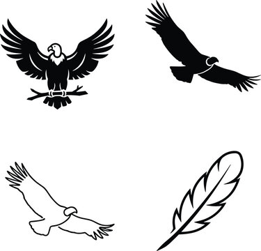 Condor Vulture Eagle Logo Template Set Featuring Flying Silhouette Perched Bird on Branch and Single Avian Feather VectorsCondor Vulture Eagle Logo Template Set Featuring Flying Silhouette Perched Bir