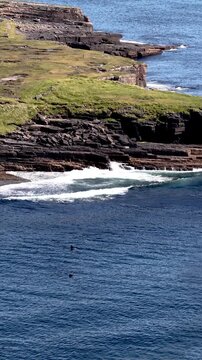 Aerial view of basking sharks at Muckross Head ,Donegal - Ireland
