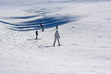 Fototapeta premium A group of enthusiasts glide sinuously along the white slope under a clear, cold winter sky.