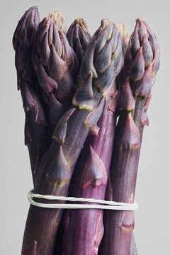 Close up studio shot of a small bunch of purple asparagus against gray background