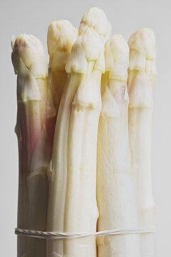 Close up still life of white asparagus bundle against gray background