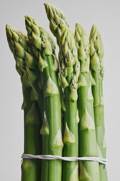 Close up still life of green asparagus spears against gray background