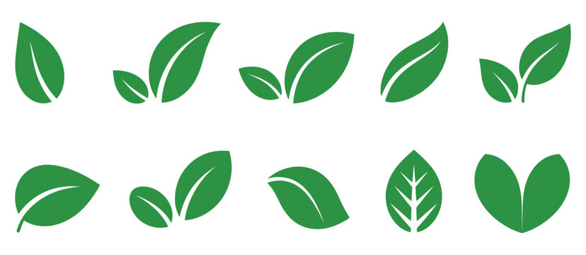 Leaf sprout icon vector set, green leaves plant eco logo symbols for organic nature, vegan branding, healthy herb and fresh growth