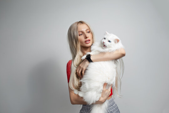 Young blonde girl with fluffy white cat in hands isolated on grey background.