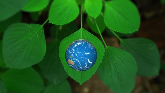 Conceptual presentation of planet Earth map on leaf veins, symbolizing Environmental, Social, and Governance (ESG) standards, green technology, sustainable development goals (SDGs)