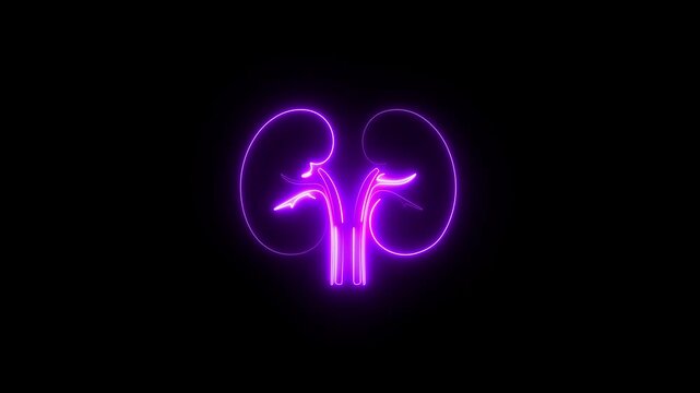 Human kidney animated icon. internal organs. Outline icon