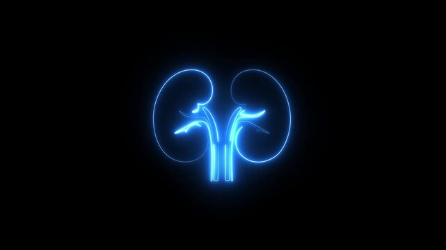 Human kidney animated icon. internal organs. Outline icon