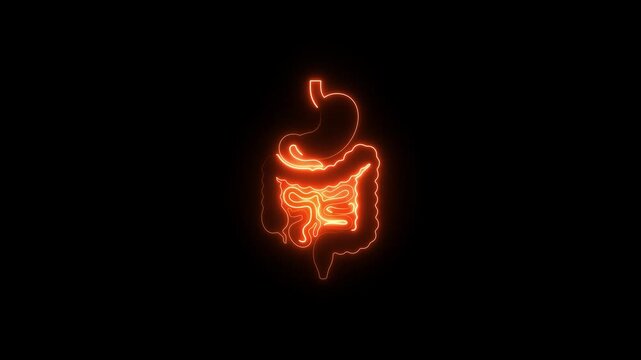 digestive system neon glowing animation. stomach pain, severe digestive system discomfort, gut health issues, internal organ inflammation, medical illness