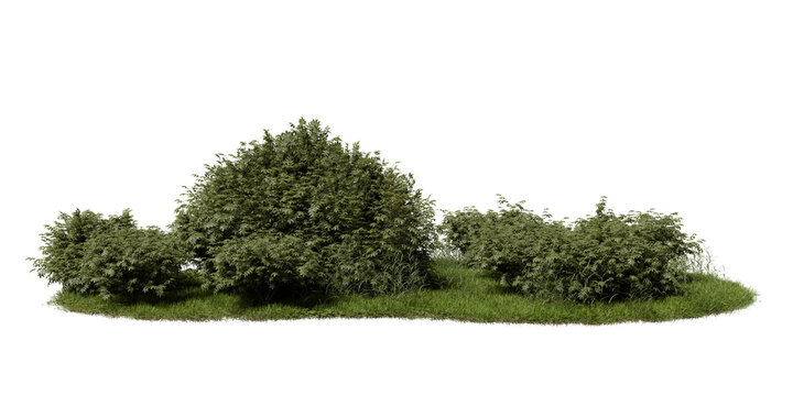 group of bushes and tall grass grows on small areof land. greenery fills space, showing various shapes and sizes of plants under natural light. 3d render