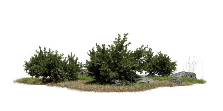 Green bushes surround several rocks on patch of grass. scene shows bright day with clear visibility. Sunlight illuminates greenery and stones. 3d render