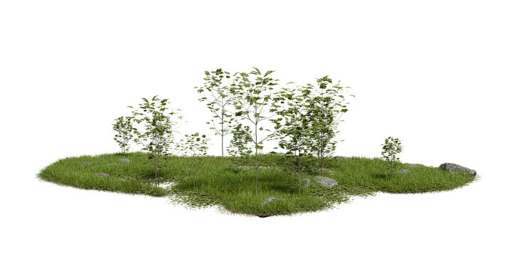 Small green plants are growing on patch of grass surrounded by rocks in sunny outdoor location. setting shows natural beauty of simple plant life. 3d render
