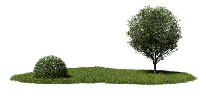 grassy arefeatures tree on one side and round bush on other. sun shines on plants, highlighting their colors during day. 3d render