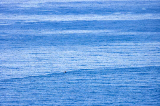 Calm blue Pacific Ocean surface