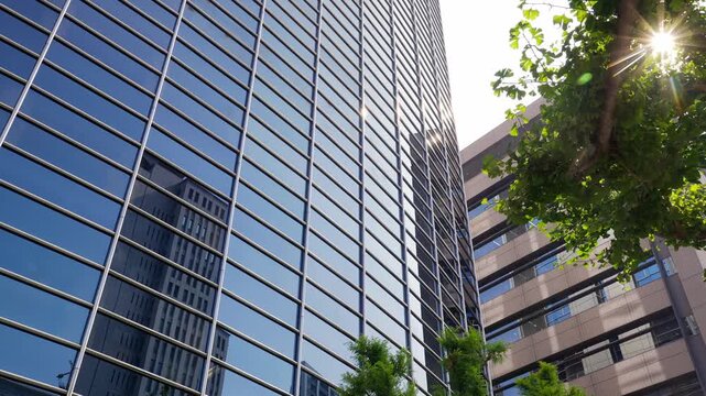 青空や街並みを反射するガラス張りのオフィスビルと街路樹の間でキラキラ光る木漏れ日