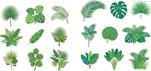 Set of various tropical leaves, including palm, monstera, and banana leaves, in a flat design style, perfect for botanical illustrations and exotic themes. © Fdtarian