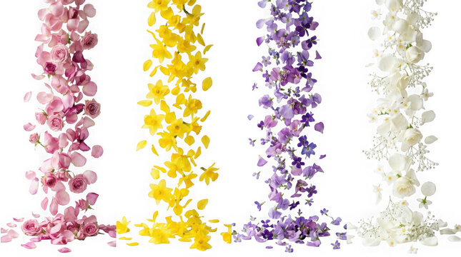 Vertical streams of falling pink, yellow, purple, and white flower petals isolated on transparent background