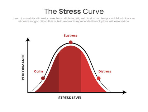 Stress curve infographic with performance and stress level axis showing calm, eustress and distress zones flat design
