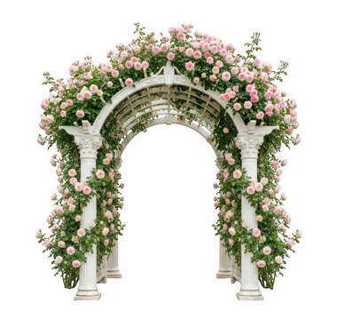 Beautiful white garden archway covered in blooming pink roses isolated on transparent background