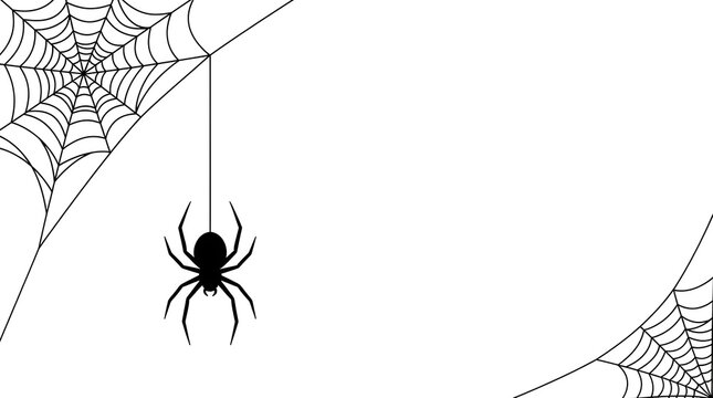A minimalist black and white halloween background featuring a creepy spider hanging from a detailed corner spider web design isolated on a clean white backdrop