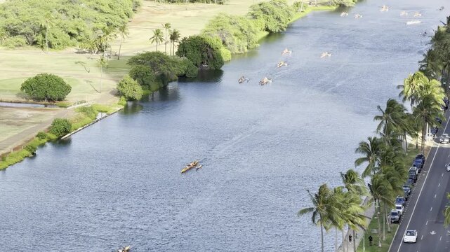 Outrigger boat or Canoe is a watercraft. Ala Wai Canal is an artificial waterway in Honolulu, Oahu, Hawaii. northern boundary of the tourist district of Waikiki. Coconut palm tree (Cocos nucifera)