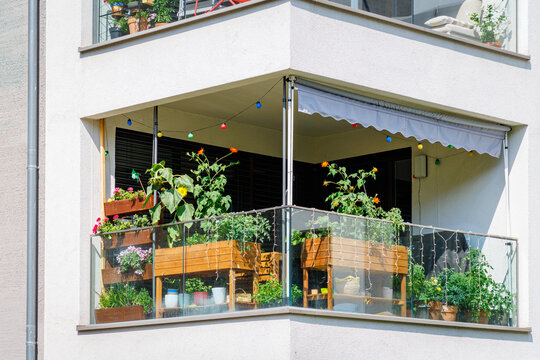 Balcony garden with plants and flowers in urban setting