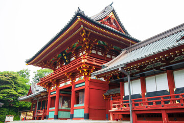 Fototapeta premium 日本の風景・初夏 神奈川県鎌倉市 鶴岡八幡宮 本宮