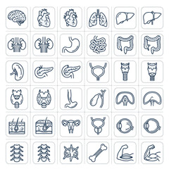 Fototapeta premium Human Organ Icons Medical Health Science Vector Illustrations Set