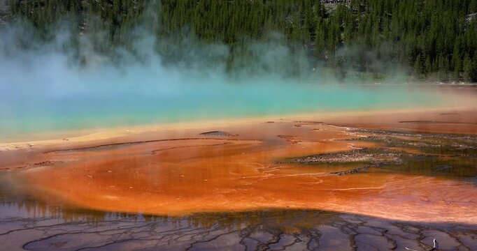 Steam rising from mineral edge of Grand Prismatic Spring, Yellowstone