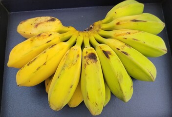 Pisang Kepok Indonesia or Musa paradisiaca  © Suryadi