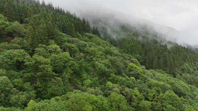 Aerial landscape of Loch Lomond with wooded shorelines and rolling hills in the Trossachs National Park of Scotland.