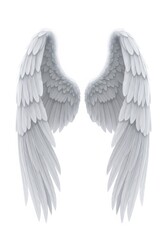 Obraz premium Realistic White Angel Wings Isolated on White Background - Detailed Feathered Wings Illustration for Spiritual and Divine Concepts