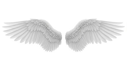 Obraz premium Pair of White Angel Wings Isolated on White Background for Graphic Design and Religious Concepts