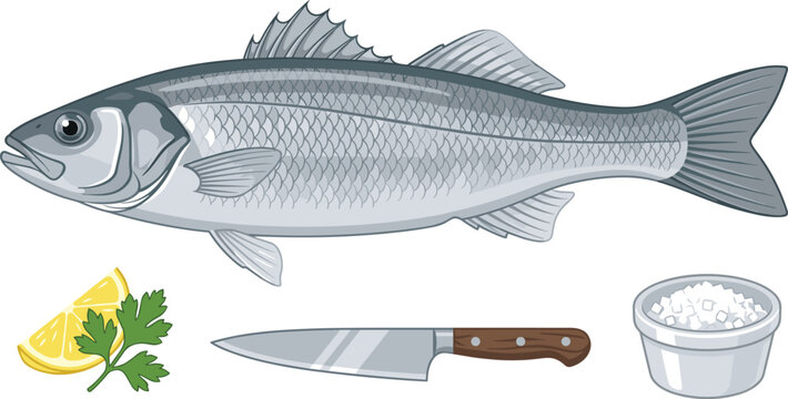Fresh whole sea bass fish vector culinary illustration set with a sharp kitchen chef knife sliced lemon wedge parsley sprig and a small bowl of coarse sea salt isolated on white background