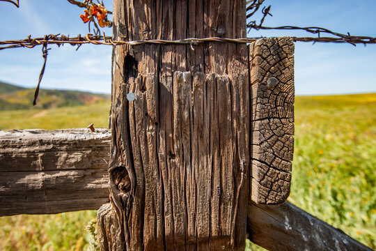 Close-up of rustic fence on Carrizo Plain