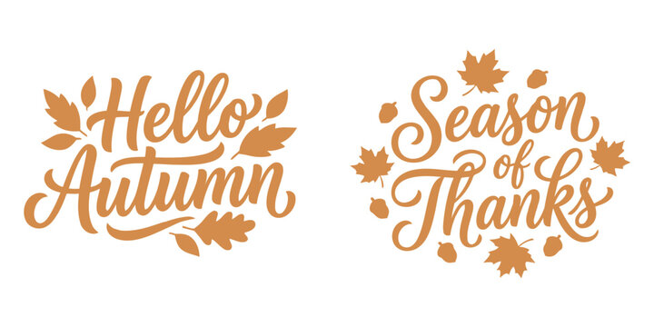 Elegant handlettered autumn greetings with maple leaves and swirling calligraphy for seasonal celebrations and thankful expressions