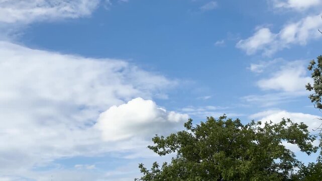 Precision aerobatic aircraft complete a perfect loop with contrails over white clouds.