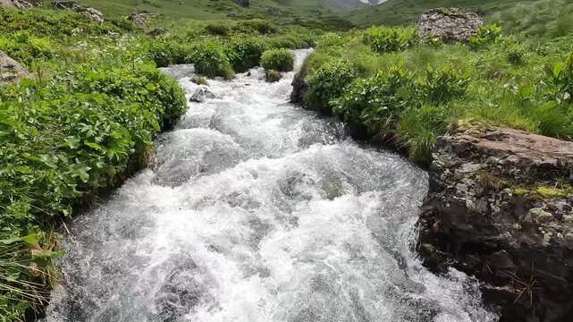 Mountain stream rushing through alpine meadow in the Roshka Valley, Georgia, shows snowmelt runoff feeding a remote watershed and supports environmental, hydrology and freshwater conservation themes.