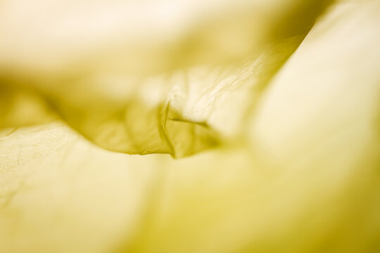 Extreme close up of yellow plastic texture background. The plastic surface is wrinkly and tattered making abstract pattern. Selective focus, shallow depth of field.