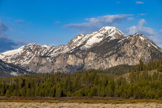 Snowcapped Sawtooth Mountains with trees in foreground